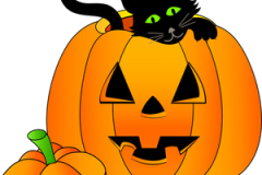 cat-in-pumpkin