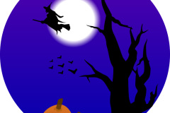 night-scene