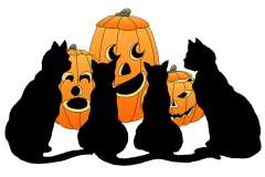 pumpkinscat